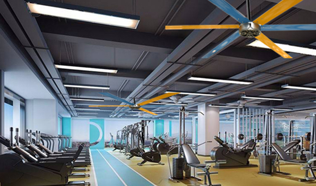 健身房通风降温【瑞泰风】助力您畅快热身