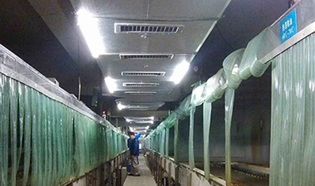 特殊场所环保空调白马珑戒毒所案例