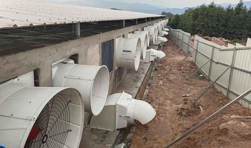 温氏种猪场案例