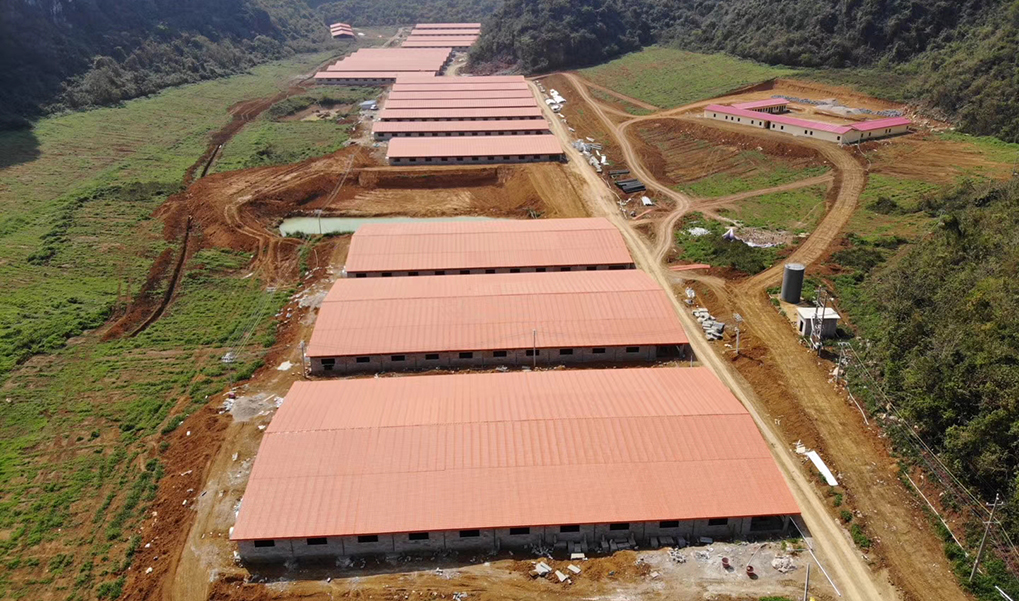 牧原种猪场案例